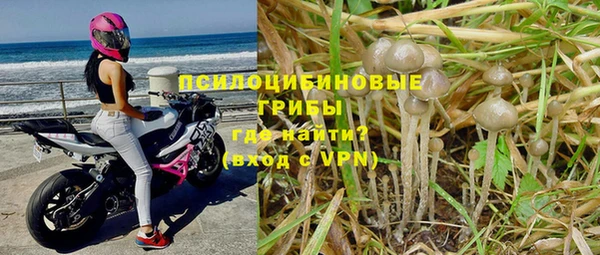марки lsd Михайловск