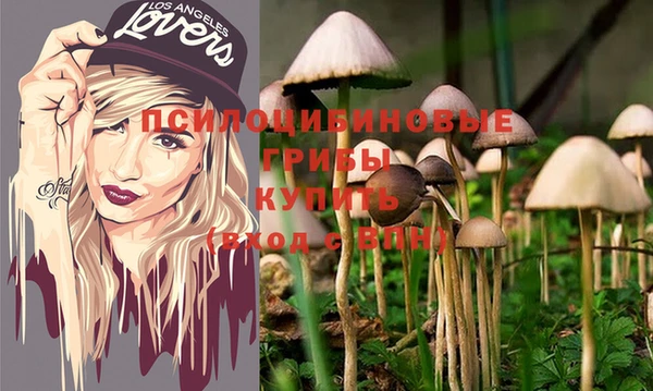 а пвп мука Михайлов