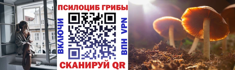 Галлюциногенные грибы прущие грибы  Энем 